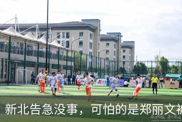 新北告急没事，可怕的是郑丽文被内鬼逼到赌最后一把：输了或退位